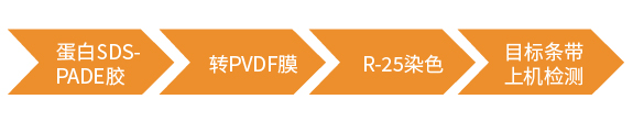 Edman服务流程
