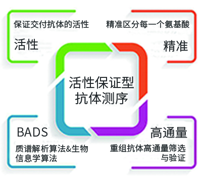 抗体氨基酸测序服务优势