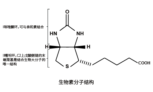 四碘荧光素结构图片